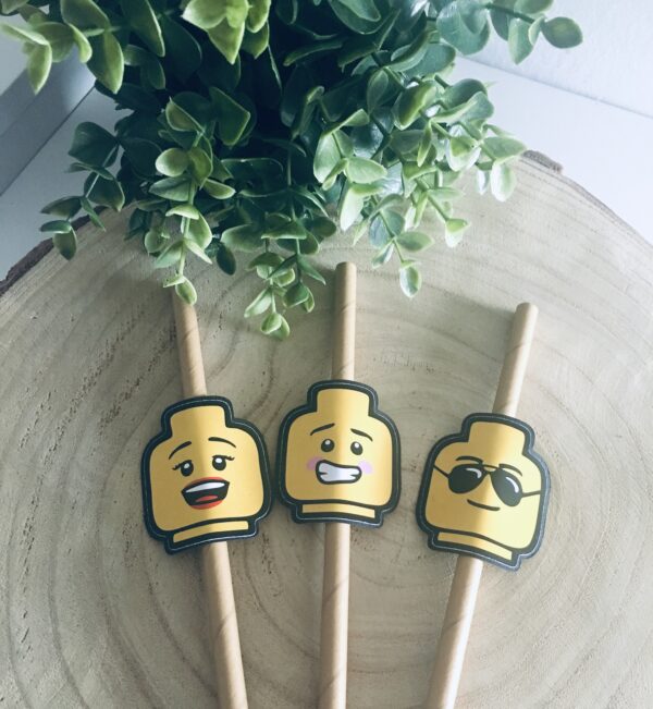 Décos pour paille – Image 14